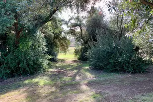 30100 Los Alamos, Murrieta, CA 92563 - Photo 46