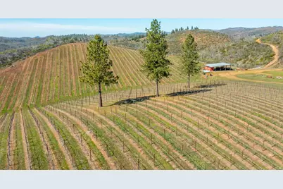 7005 Mountain Ranch Road, Mountain Ranch, CA 95246 - Photo 78