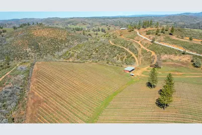 7005 Mountain Ranch Road, Mountain Ranch, CA 95246 - Photo 80