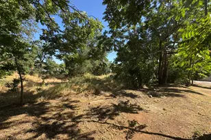 318 Preston Ave, Ione, CA 95640 - Photo 34