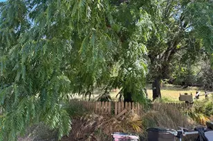 11083 Upper Previtali Rd, Jackson, CA 95642 - Photo 6