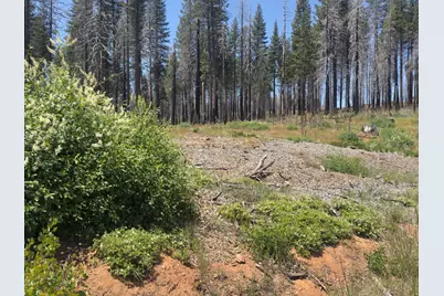 5309 Golden Aspen Drive, Grizzly Flats, CA 95636 - Photo 8