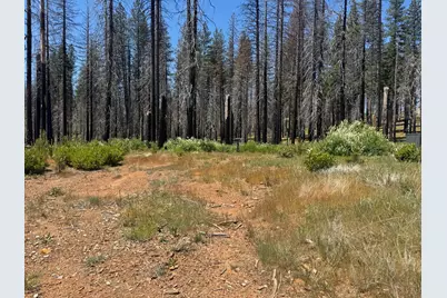 5309 Golden Aspen Drive, Grizzly Flats, CA 95636 - Photo 4