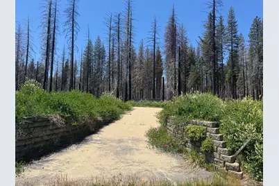 5309 Golden Aspen Drive, Grizzly Flats, CA 95636 - Photo 1