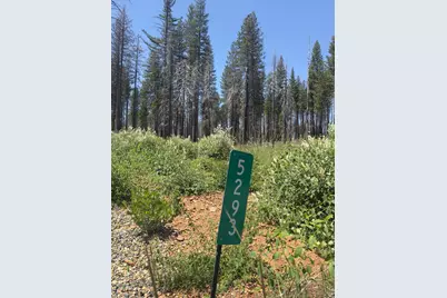 5309 Golden Aspen Drive, Grizzly Flats, CA 95636 - Photo 16