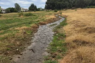 11290 Dry Creek Rd, Auburn, CA 95602 - Photo 8