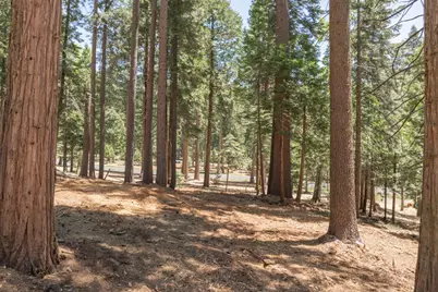 3043 Shoshone Drive, Camp Connell, CA 95223 - Photo 1