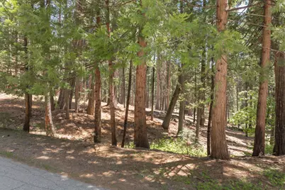 3043 Shoshone Drive, Camp Connell, CA 95223 - Photo 8