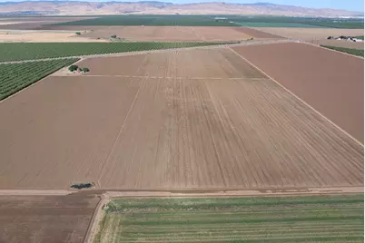 19054 Ca-33, Crows Landing, CA 95313 - Photo 6