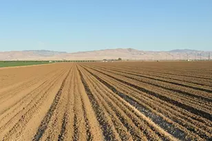 19054 CA-33, Crows Landing, CA 95313 - Photo 20