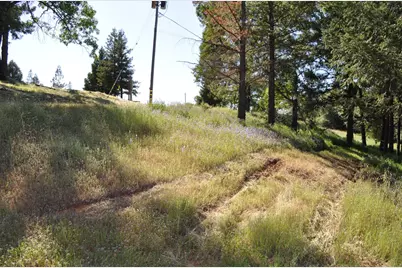 3190 Magic Morgan Trail, Cool, CA 95614 - Photo 1