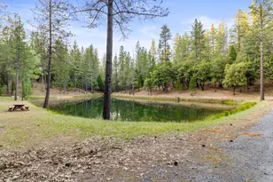 5860 Shoo Fly Rd, Placerville, CA 95667 - Photo 44