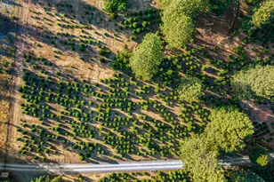 5860 Shoo Fly Rd, Placerville, CA 95667 - Photo 62