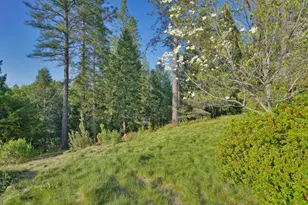 2399 Kingsgate Rd, Placerville, CA 95667 - Photo 70