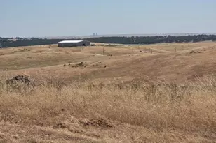 8385 S Shingle Rd, Shingle Springs, CA 95682 - Photo 1