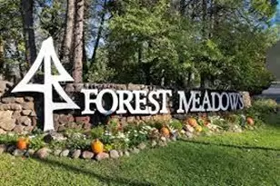 1015 Dogwood Dr, Murphys, CA 95247 - Photo 1