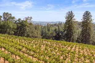 4505 Maidu Trail, Placerville, CA 95667 - Photo 66