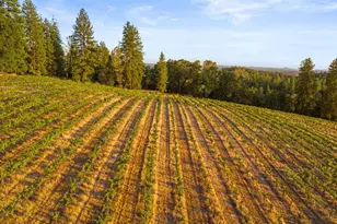 4505 Maidu Trail, Placerville, CA 95667 - Photo 42