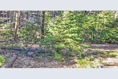 24184 Awahanee Road, Sonora, CA 95370 - Photo 14