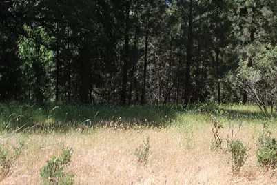 21785 Highway 26, West Point, CA 95255 - Photo 8