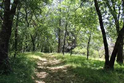 21785 Highway 26, West Point, CA 95255 - Photo 2