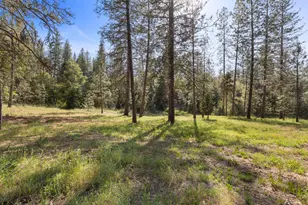 499 McCarthy Reservoir Rd, Rail Road Flat, CA 95245 - Photo 58