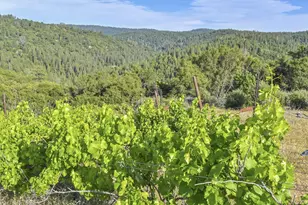 7240 Happy Valley Rd, Somerset, CA 95684 - Photo 1