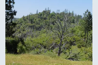 165 Freshwater Lane, El Dorado, CA 95623 - Photo 16