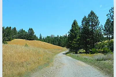 165 Freshwater Lane, El Dorado, CA 95623 - Photo 30