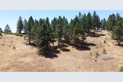 165 Freshwater Lane, El Dorado, CA 95623 - Photo 38