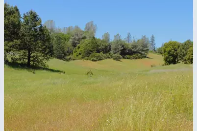 165 Freshwater Lane, El Dorado, CA 95623 - Photo 4