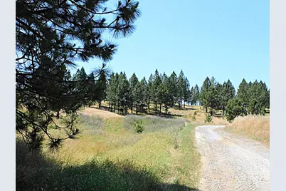 165 Freshwater Lane, El Dorado, CA 95623 - Photo 2
