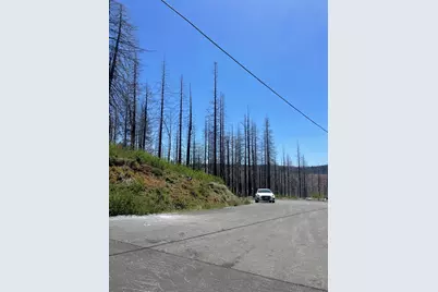 4905 Deerwood Court, Grizzly Flats, CA 95636 - Photo 4