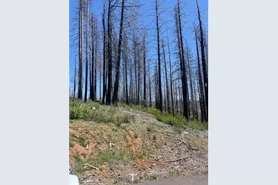 4905 Deerwood Court, Grizzly Flats, CA 95636 - Photo 8