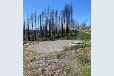 4905 Deerwood Court, Grizzly Flats, CA 95636 - Photo 1