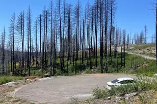 4905 Deerwood Ct, Grizzly Flats, CA 95636 - Photo 1