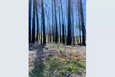 5106 Parkside Drive, Grizzly Flats, CA 95636 - Photo 4