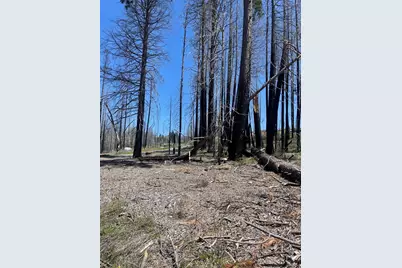 5106 Parkside Drive, Grizzly Flats, CA 95636 - Photo 6