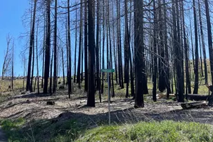 5106 Parkside Dr, Grizzly Flats, CA 95636 - Photo 1