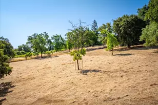 10157 Moran Dr, Auburn, CA 95603 - Photo 74