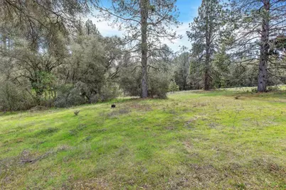 21833 McCourtney Road, Grass Valley, CA 95945 - Photo 6