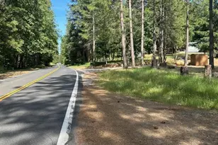 4690 Blue Mountain Rd, Wilseyville, CA 95257 - Photo 38