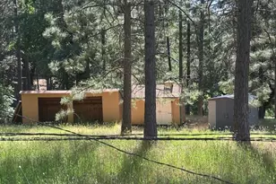 4690 Blue Mountain Rd, Wilseyville, CA 95257 - Photo 32