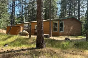 4690 Blue Mountain Rd, Wilseyville, CA 95257 - Photo 4