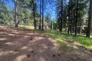 4690 Blue Mountain Rd, Wilseyville, CA 95257 - Photo 34