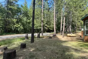 4690 Blue Mountain Rd, Wilseyville, CA 95257 - Photo 36