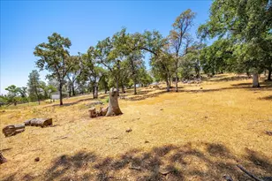 10420 Sabiniana Rd, Browns Valley, CA 95918 - Photo 52
