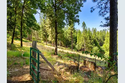 1423 Argonaut Lane, West Point, CA 95255 - Photo 16