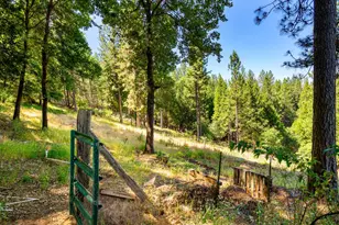 1423 Argonaut Ln, West Point, CA 95255 - Photo 16