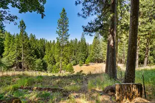 1423 Argonaut Ln, West Point, CA 95255 - Photo 30